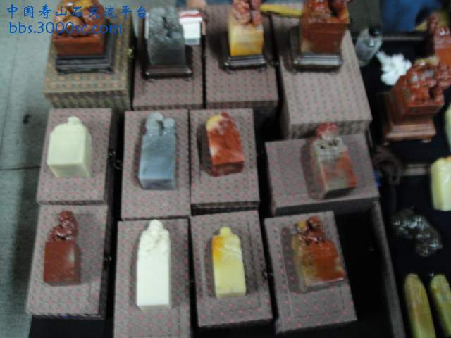 DSC00954.JPG