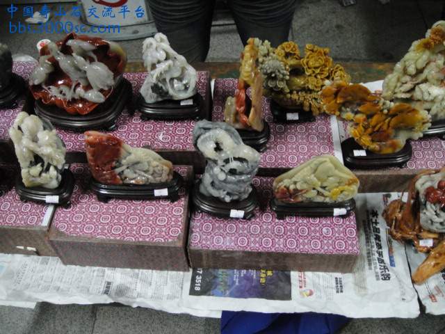 DSC00955.JPG