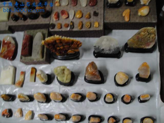 DSC00963.JPG