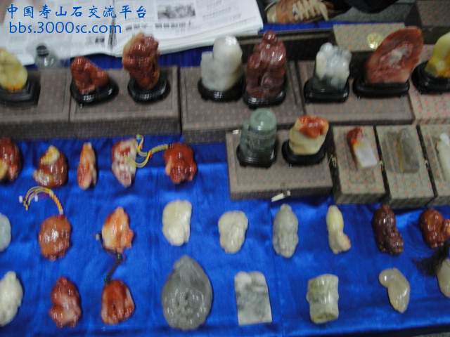 DSC00964.JPG