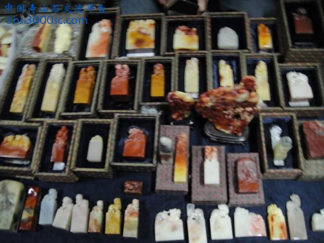 DSC00965.JPG