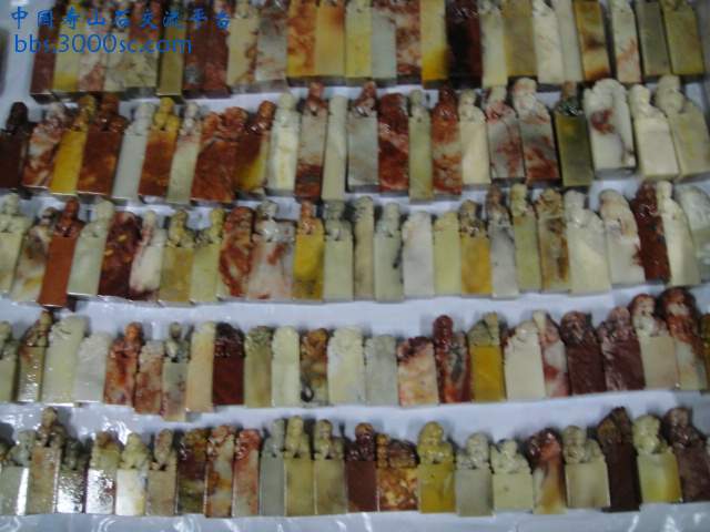 DSC00966.JPG