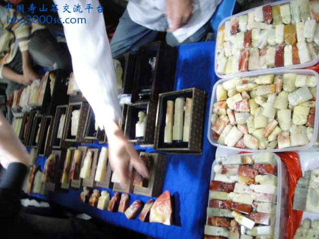 DSC00969.JPG