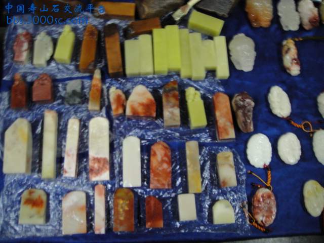 DSC00970.JPG
