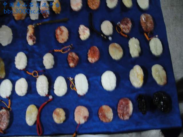 DSC00971.JPG