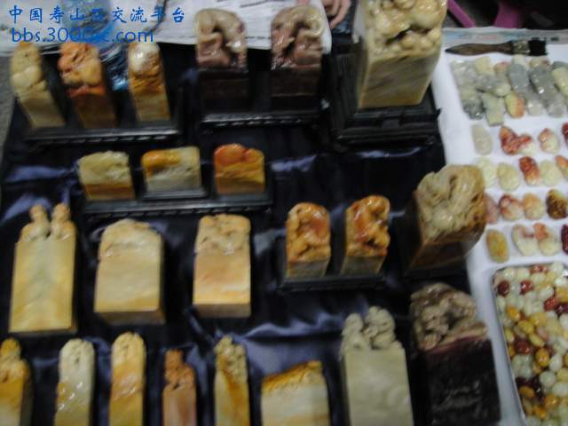 DSC00973.JPG