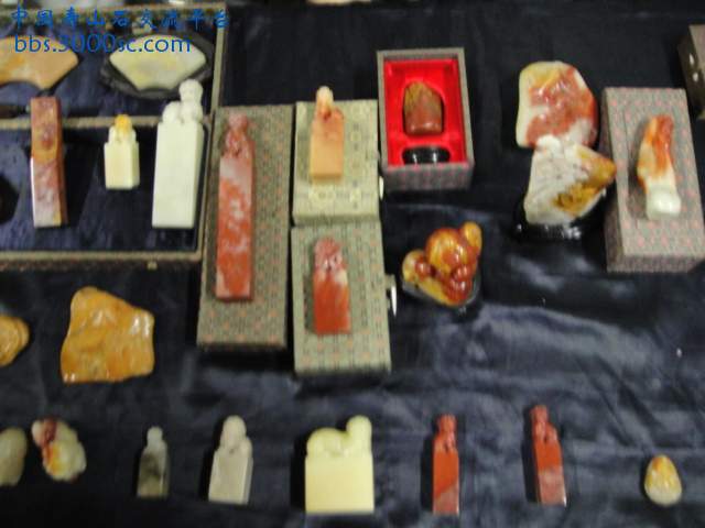 DSC00978.JPG
