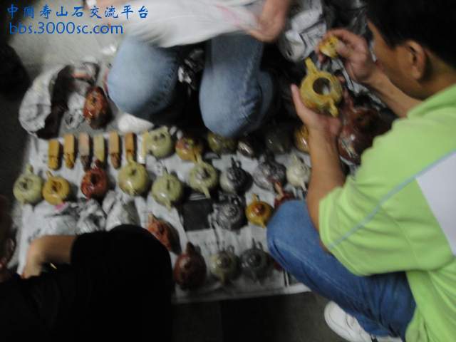 DSC00980.JPG