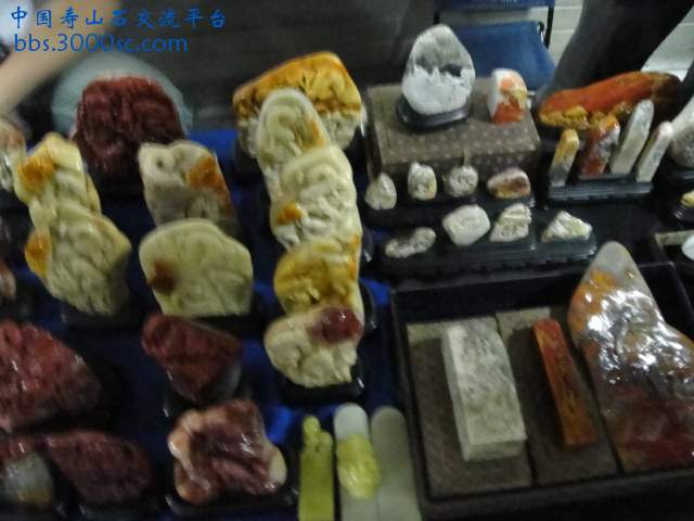 DSC00982.JPG
