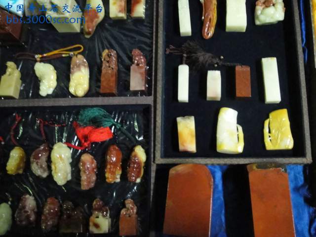 DSC00985.JPG