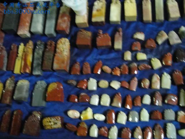 DSC00986.JPG