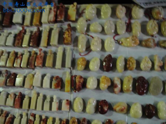 DSC00987.JPG