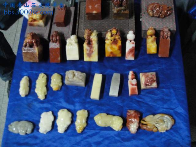 DSC00991.JPG