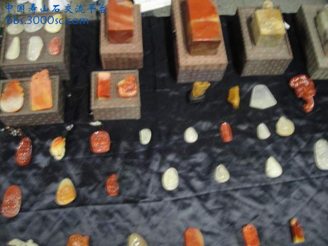 DSC00994.JPG