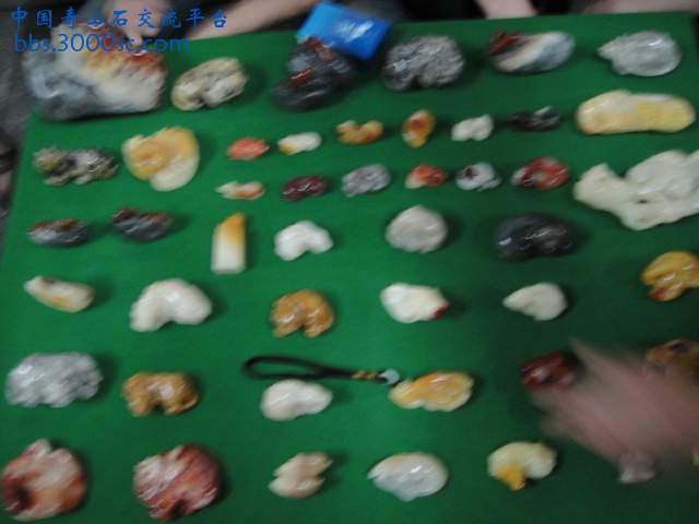 DSC00998.JPG