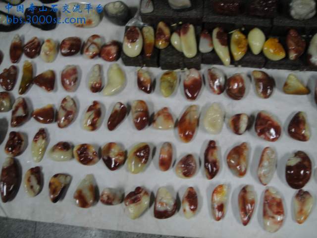 DSC01001.JPG