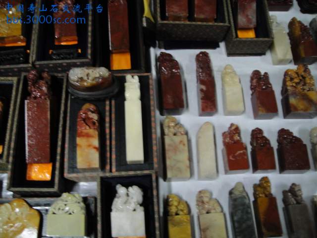 DSC01002.JPG