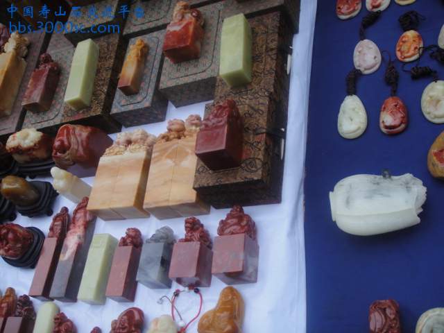 DSC01379.JPG