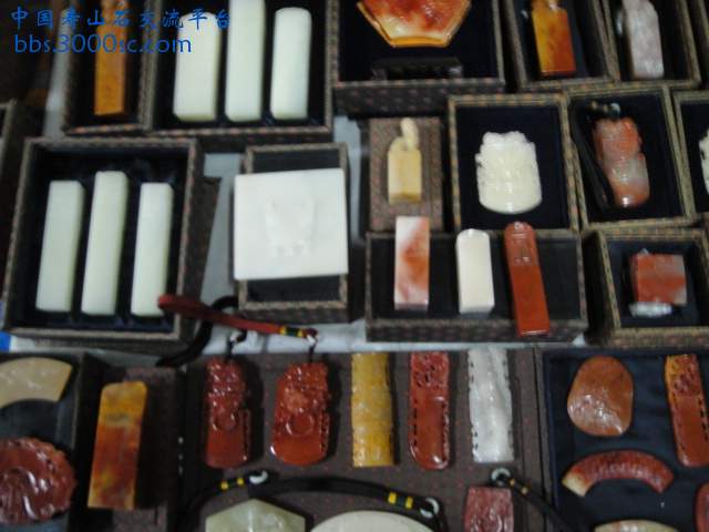 DSC01004.JPG