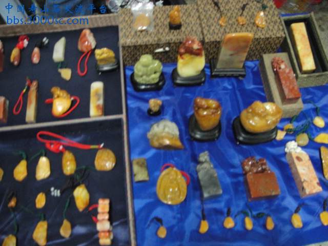 DSC01006.JPG