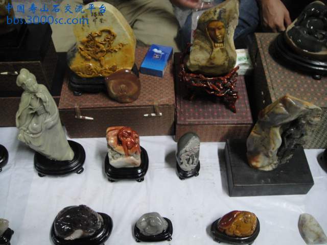 DSC01005.JPG
