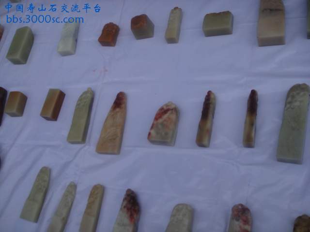 DSC01384.JPG