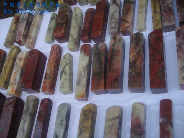 DSC01383.JPG