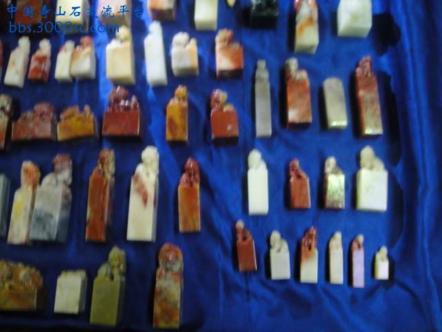 DSC01010.JPG