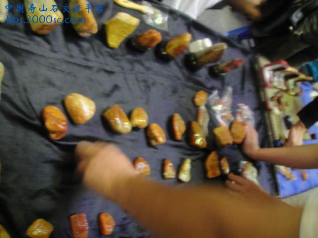 DSC01011.JPG