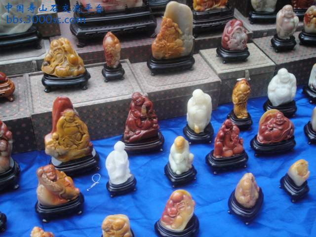 DSC01388.JPG