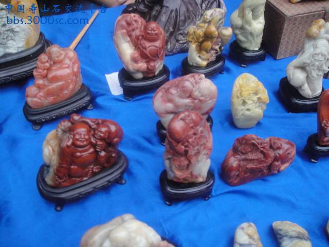 DSC01389.JPG