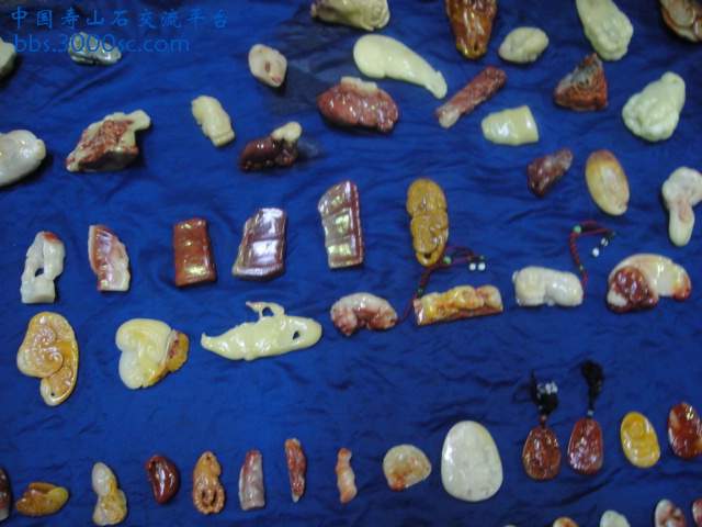 DSC01014.JPG