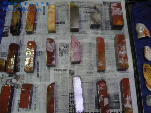 DSC01013.JPG