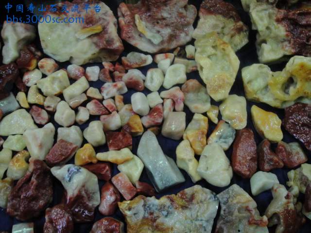 DSC01016.JPG