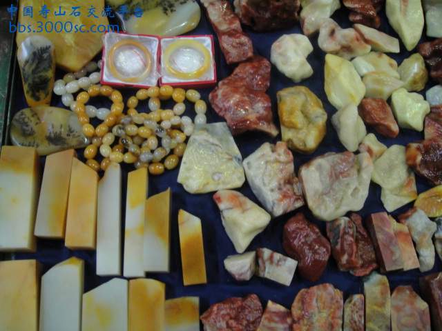 DSC01015.JPG
