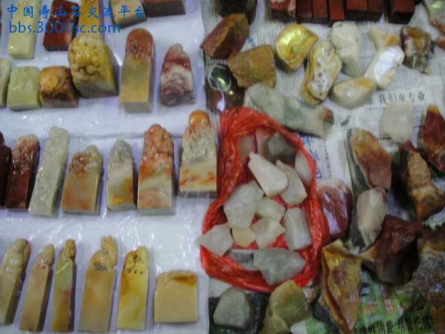 DSC01017.JPG