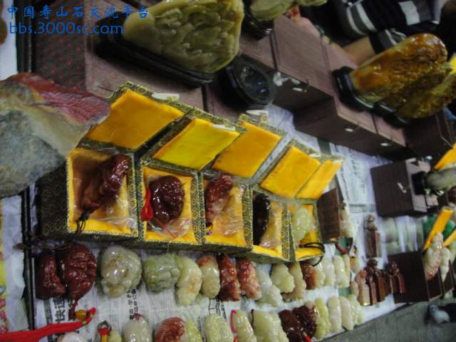 DSC01018.JPG