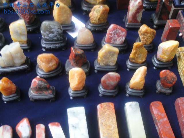 DSC01395.JPG