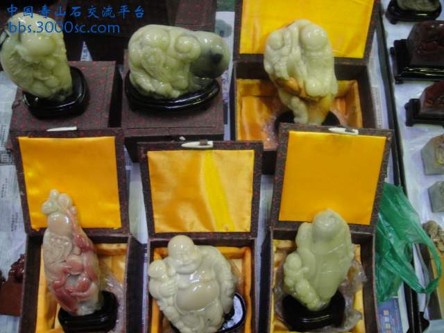 DSC01019.JPG