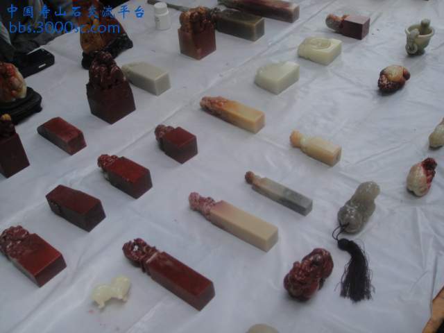 DSC01401.JPG