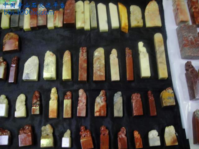 DSC01022.JPG