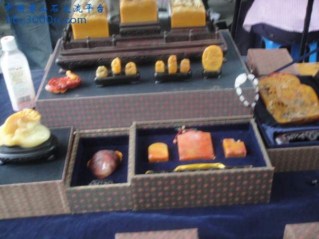 DSC01399.JPG