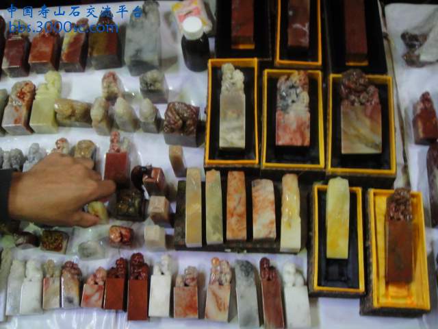 DSC01023.JPG