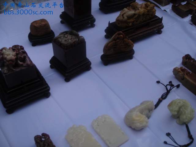 DSC01402.JPG