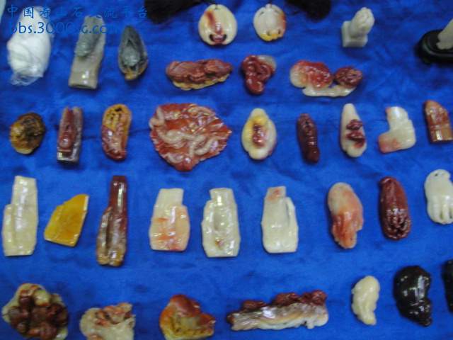 DSC01026.JPG