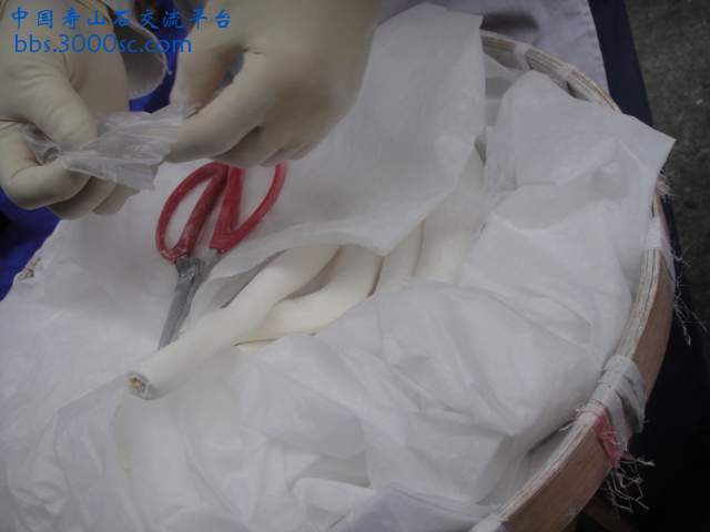DSC01403.JPG