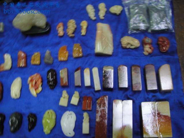 DSC01027.JPG