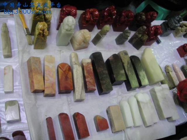 DSC01029.JPG