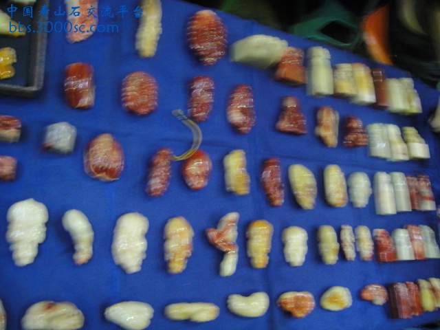 DSC01031.JPG