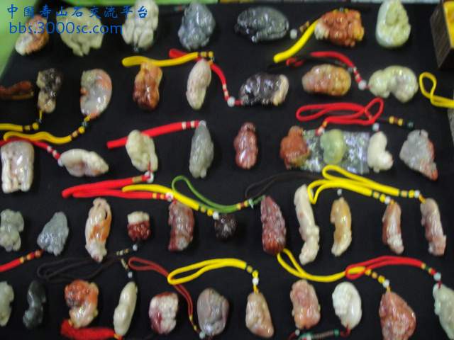 DSC01030.JPG
